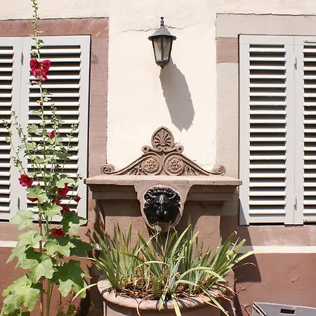 Daire De L'hotel De Strazburg